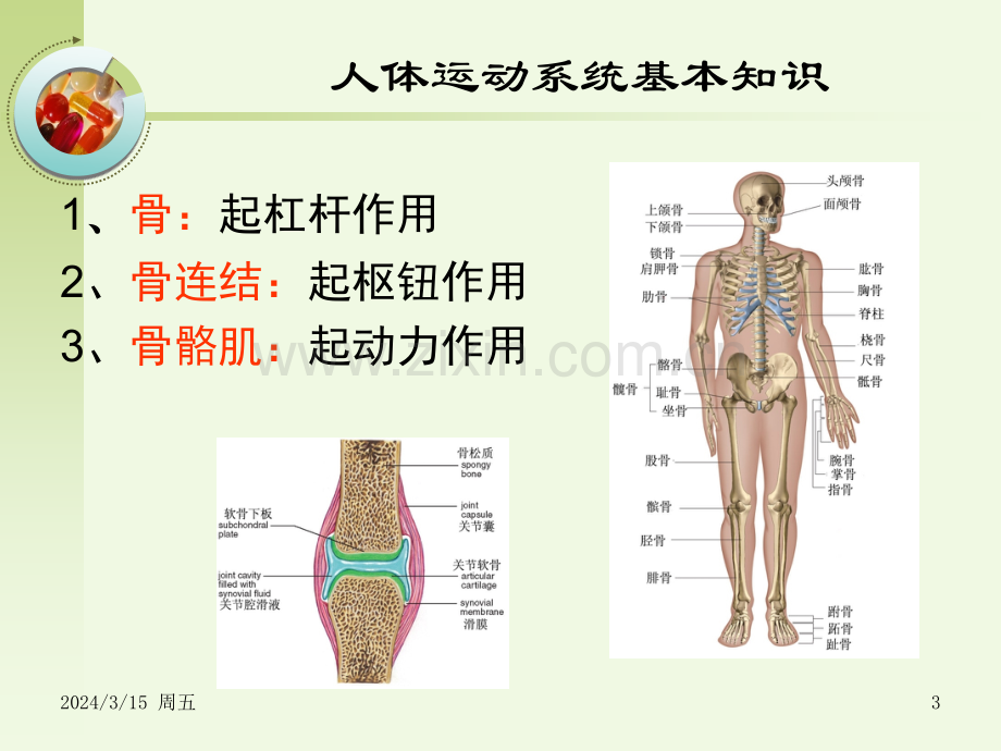 别让运动伤害了你ppt课件.ppt_第3页