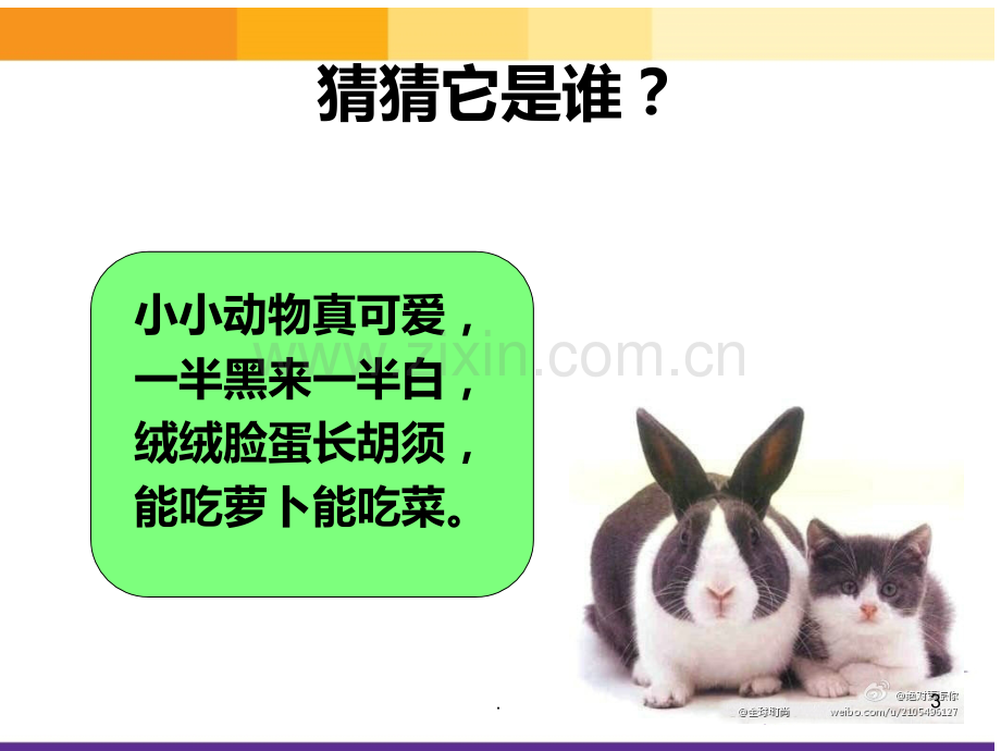 《我和动物交朋友》PPT课件.ppt_第3页