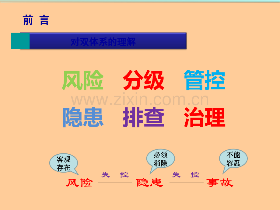 安全管理双体系建设.ppt_第3页