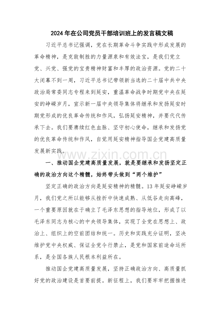 2024年在公司党员干部培训班上的发言稿文稿.docx_第1页