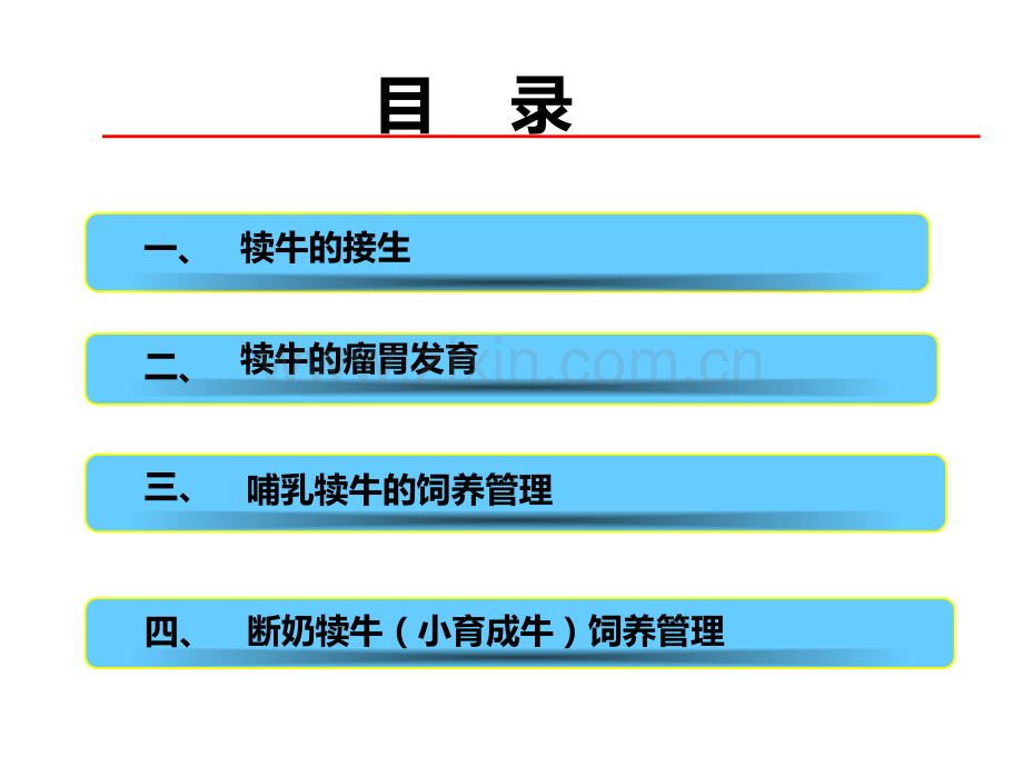 犊牛的饲养管理.ppt_第3页