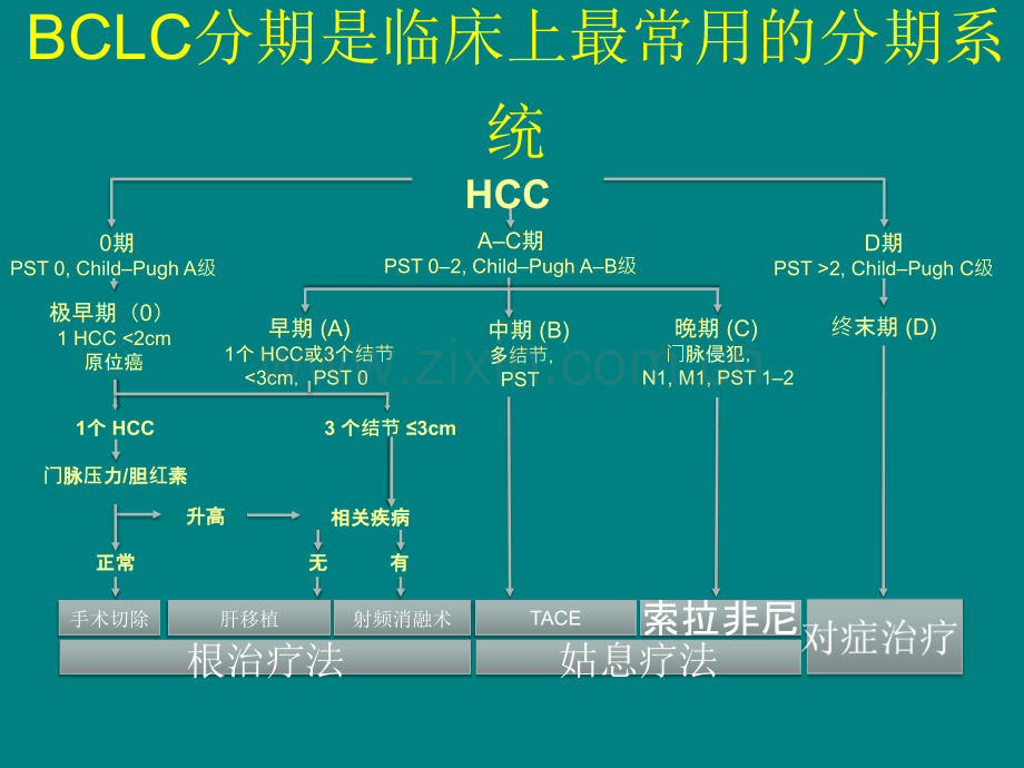 分子靶向药物在肝癌治疗中的应用-ppt课件.ppt_第3页