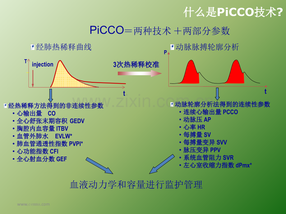 PiCCO监测-ppt课件.ppt_第3页