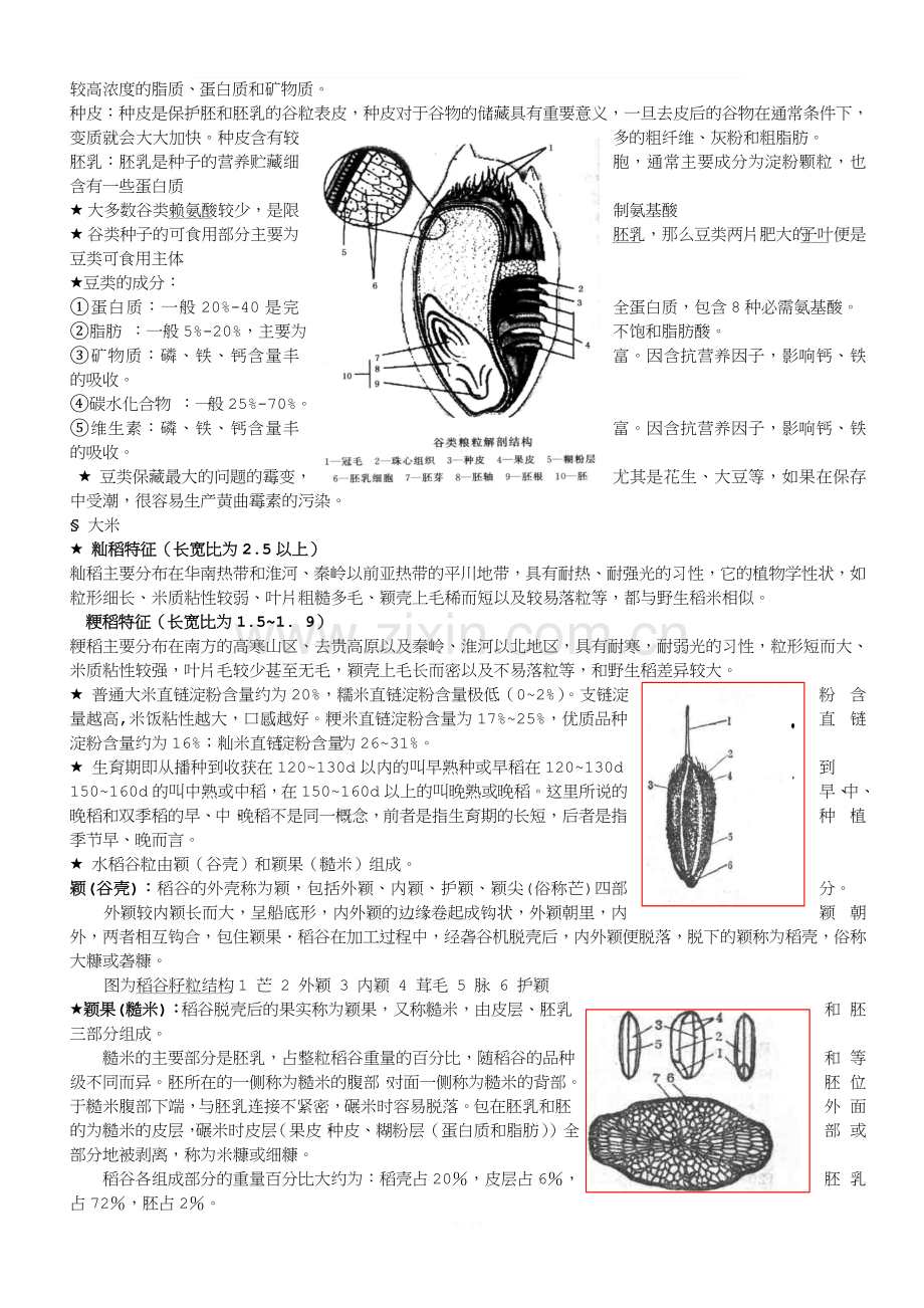 食品原料学复习大纲.doc_第2页