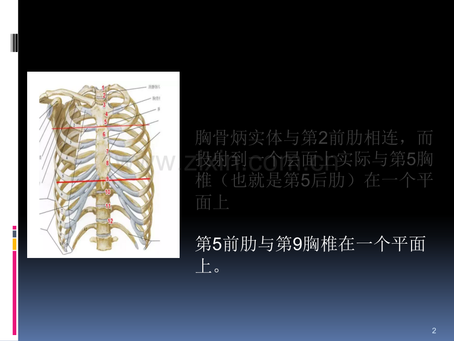 胸腔积液定量-ppt课件.pptx_第2页