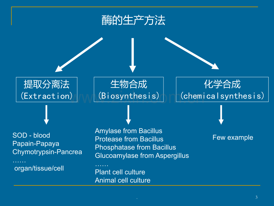 二-微生物发酵产酶PPT课件.ppt_第3页