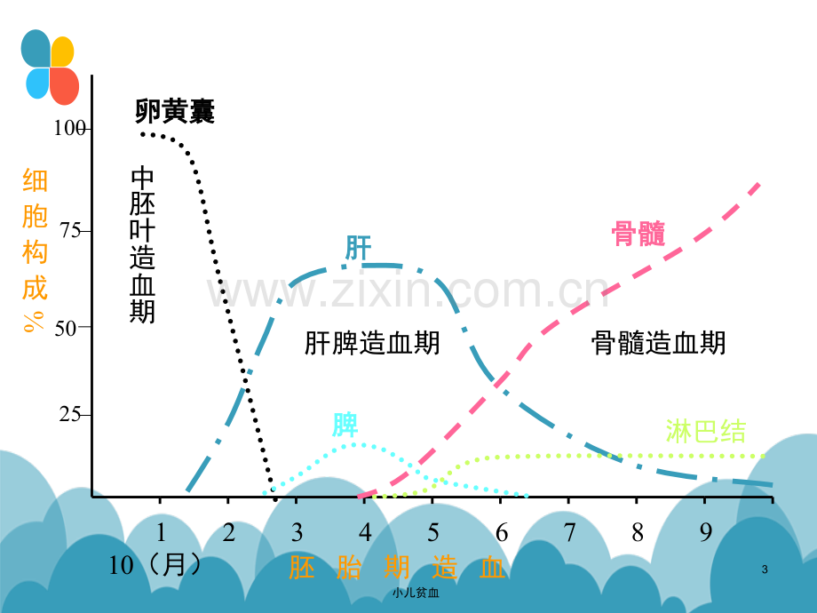 儿科学——小儿贫血ppt课件.ppt_第3页