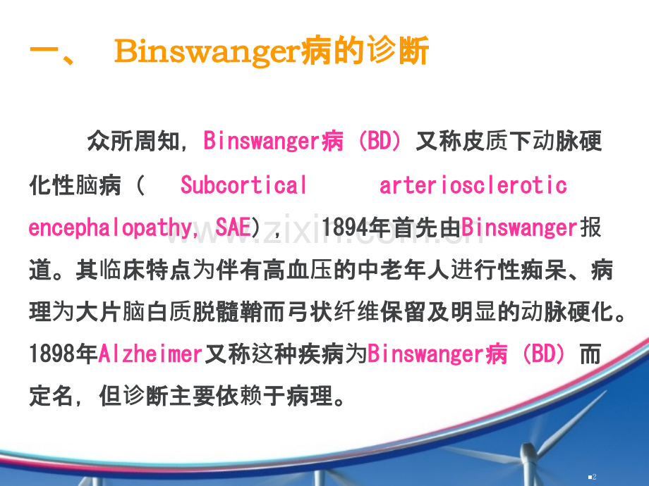 Binswanger病与脑白质松症的鉴别与诊断标准ppt课件.ppt_第2页