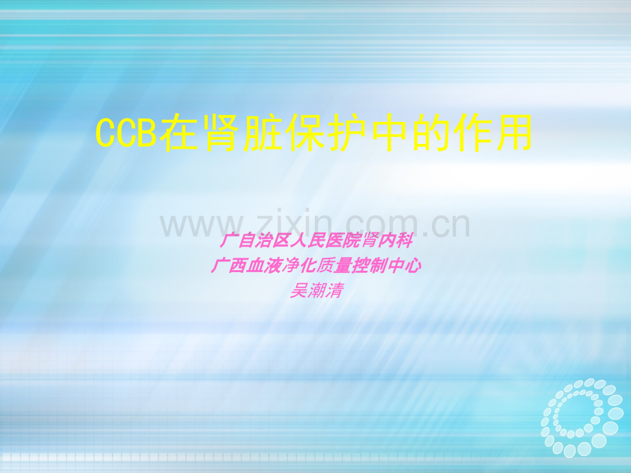 CCB在肾脏保护中的作用ppt课件.ppt_第1页