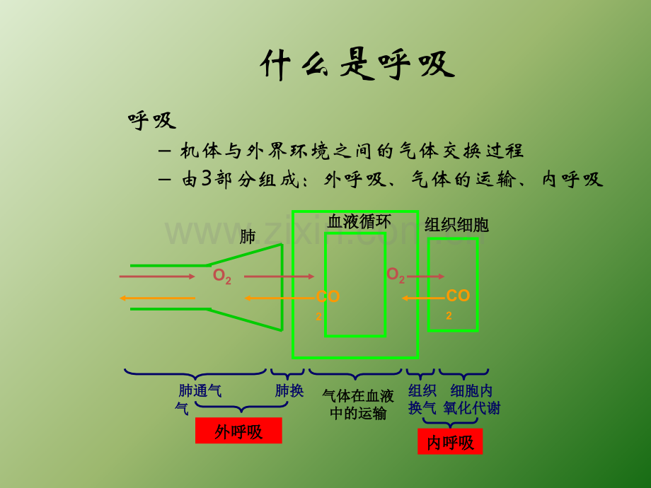 Drager呼吸机的使用ppt课件.ppt_第3页