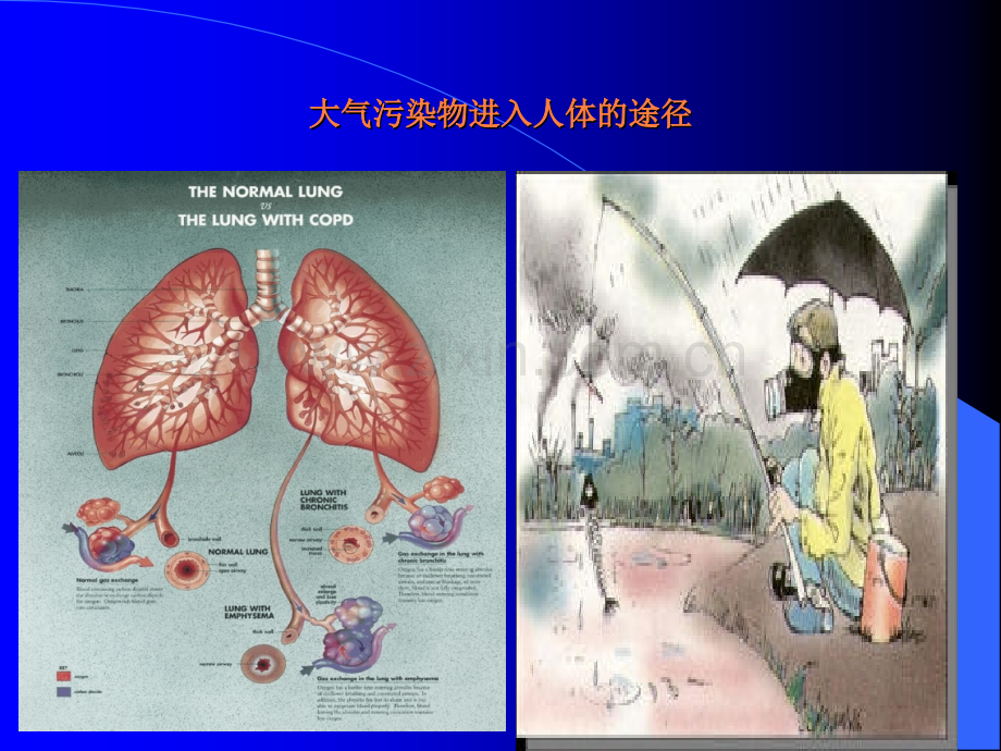 第二章大气环境与健康ppt课件.ppt_第3页