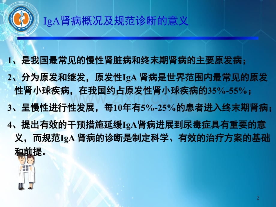 IGA肾病临床实践指南解读ppt课件.ppt_第2页