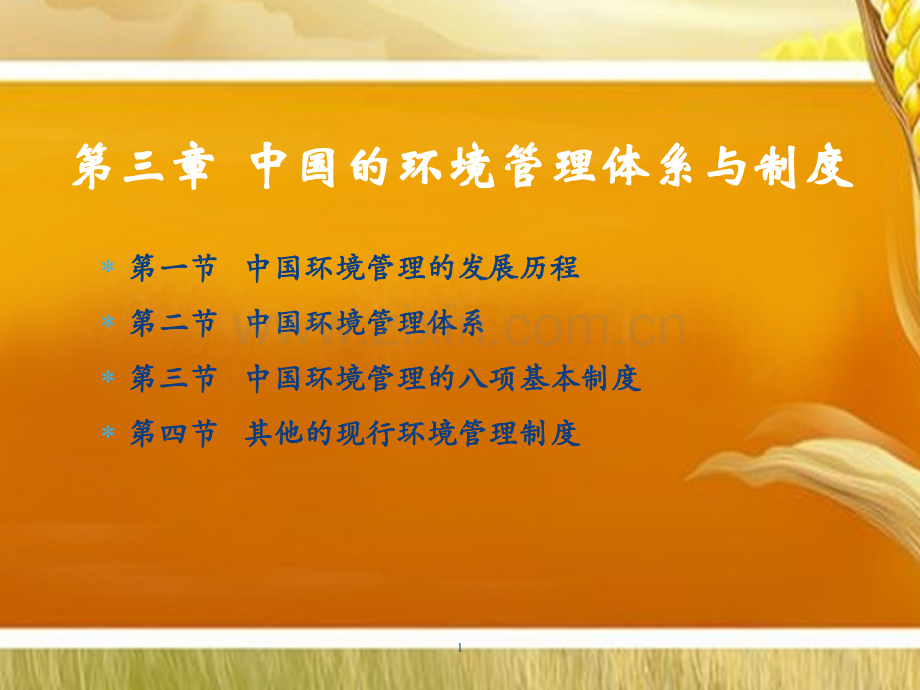 中国的环境管理制度.ppt_第1页