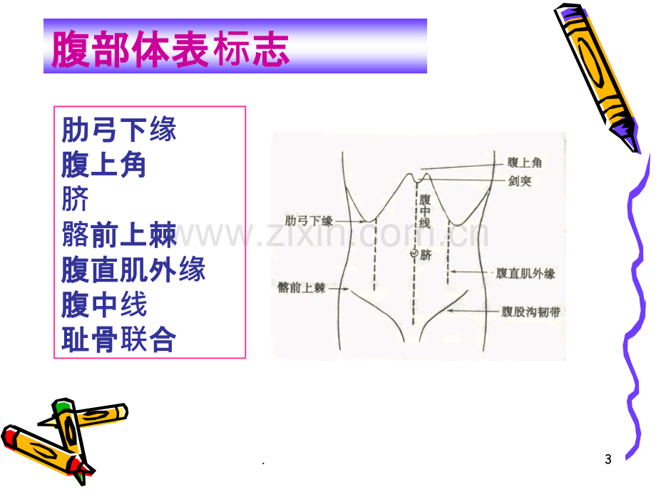 腹部评估ppt课件.pptx_第3页