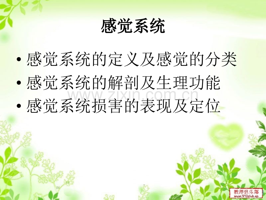 感觉传导通路ppt课件.ppt_第2页