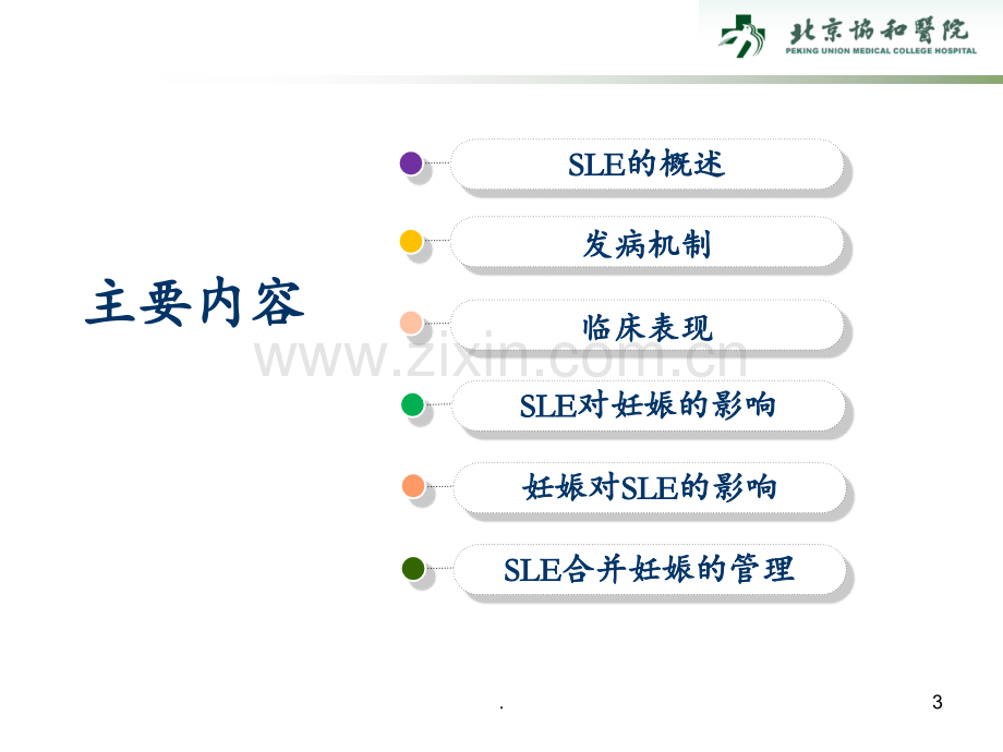 SLE合并妊娠的护理PPT课件.ppt_第3页