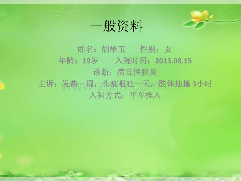 病毒性脑炎的护理查房.ppt_第2页