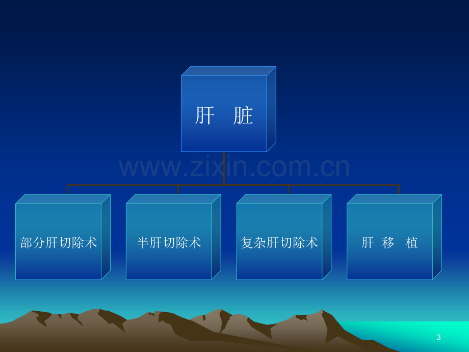 肝胆科手术分类PPT课件.ppt_第3页