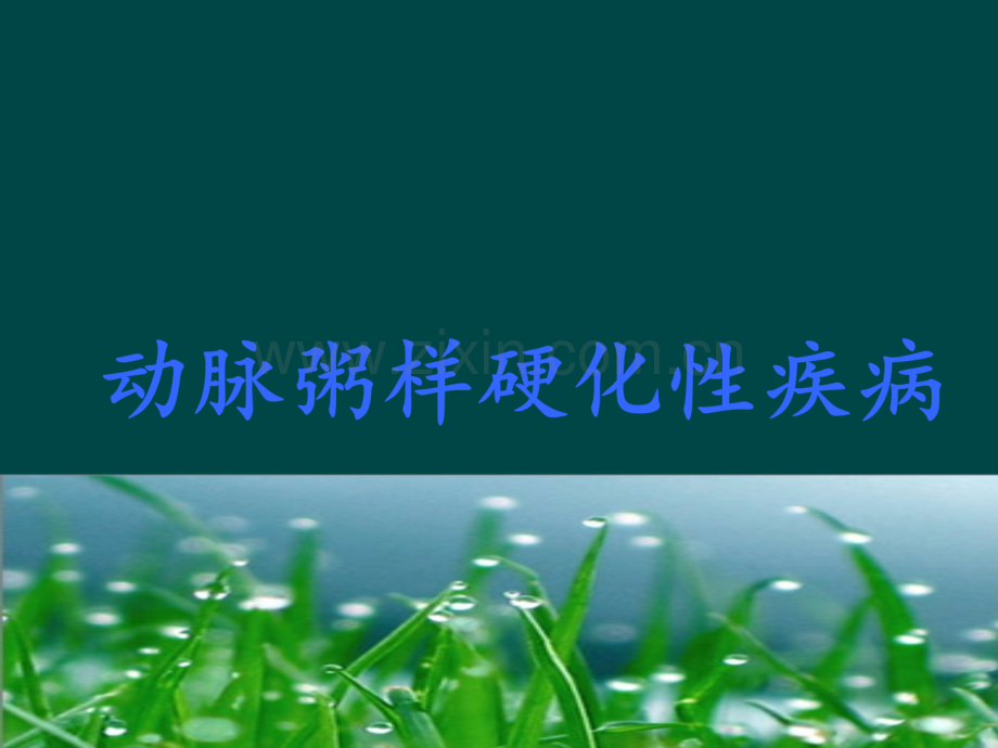 冠心病PPT课件.pptx_第3页