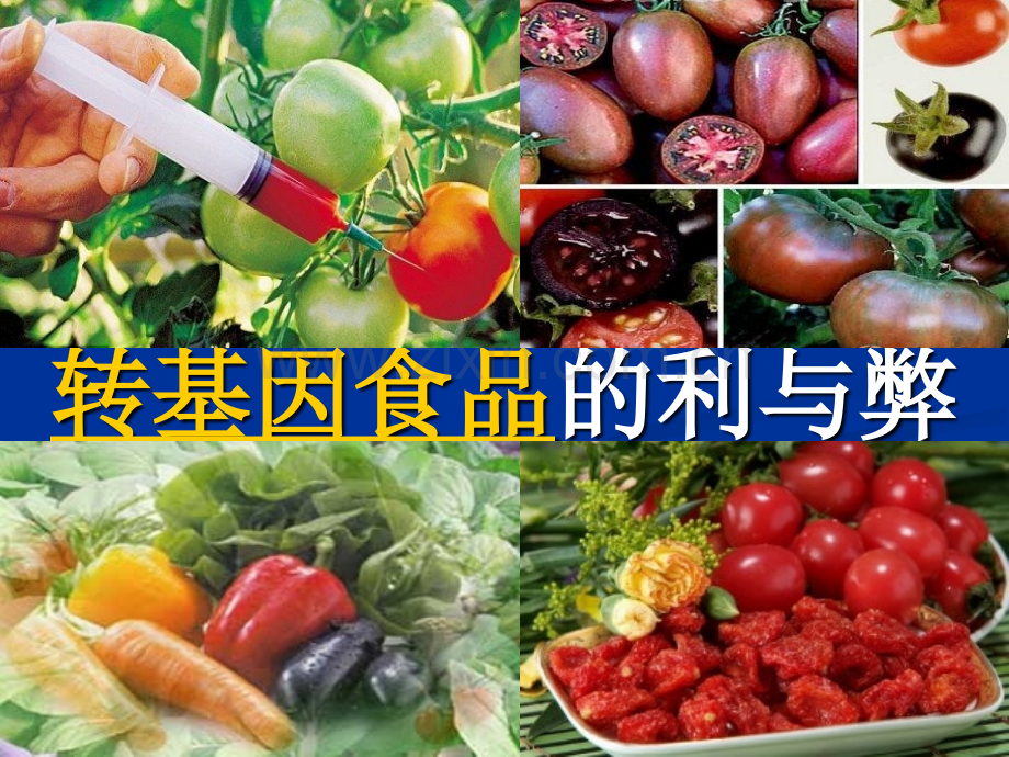 转基因食品的利与弊.ppt_第1页