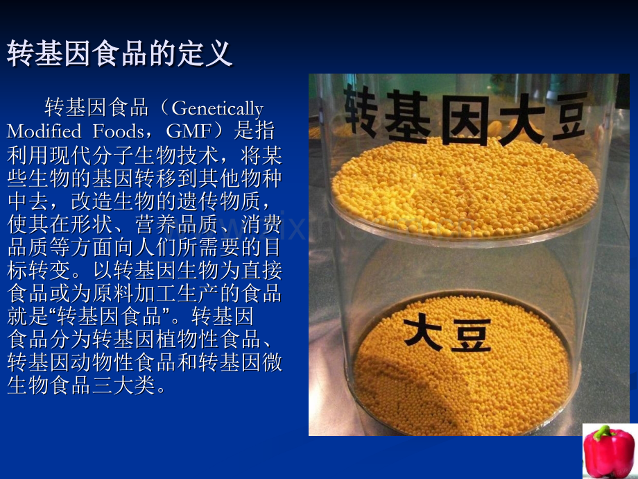 转基因食品的利与弊.ppt_第3页