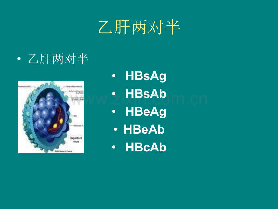 乙肝五项课件.ppt_第1页