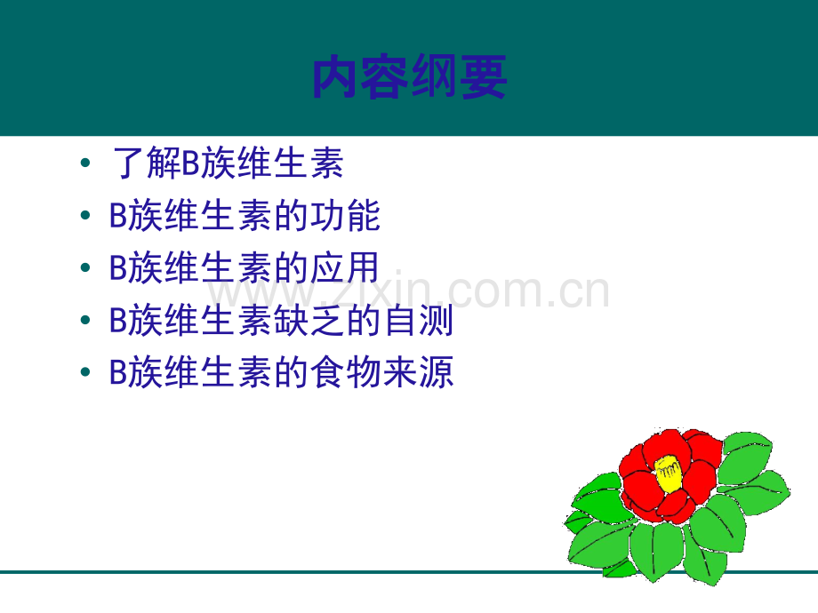 B族维生素的应用.ppt_第2页