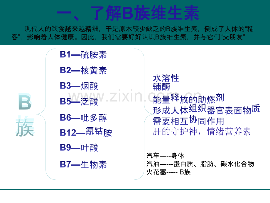 B族维生素的应用.ppt_第3页