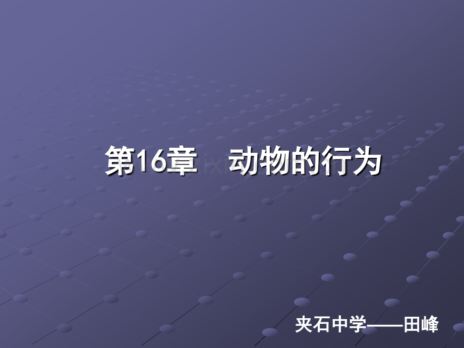 动物的行为-先天性行为和后天学习行为ppt课件.ppt_第1页