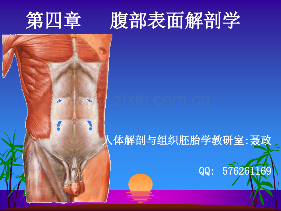 腹部表面解剖.ppt_第1页