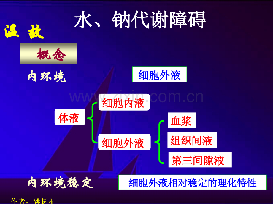 病理生理学水钠代谢ppt课件.ppt_第3页