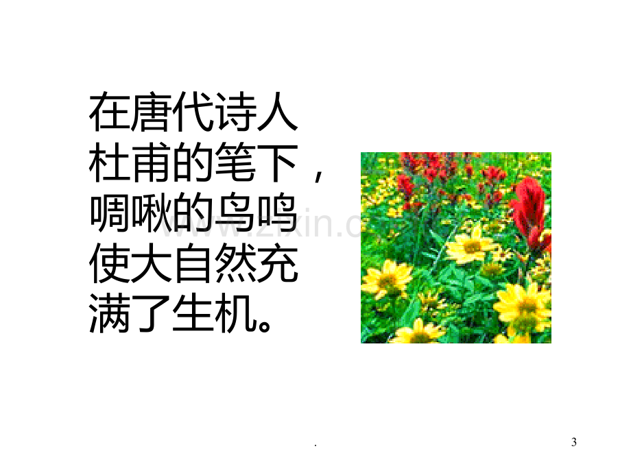 动物在生物圈中的作用PPT课件.ppt_第3页