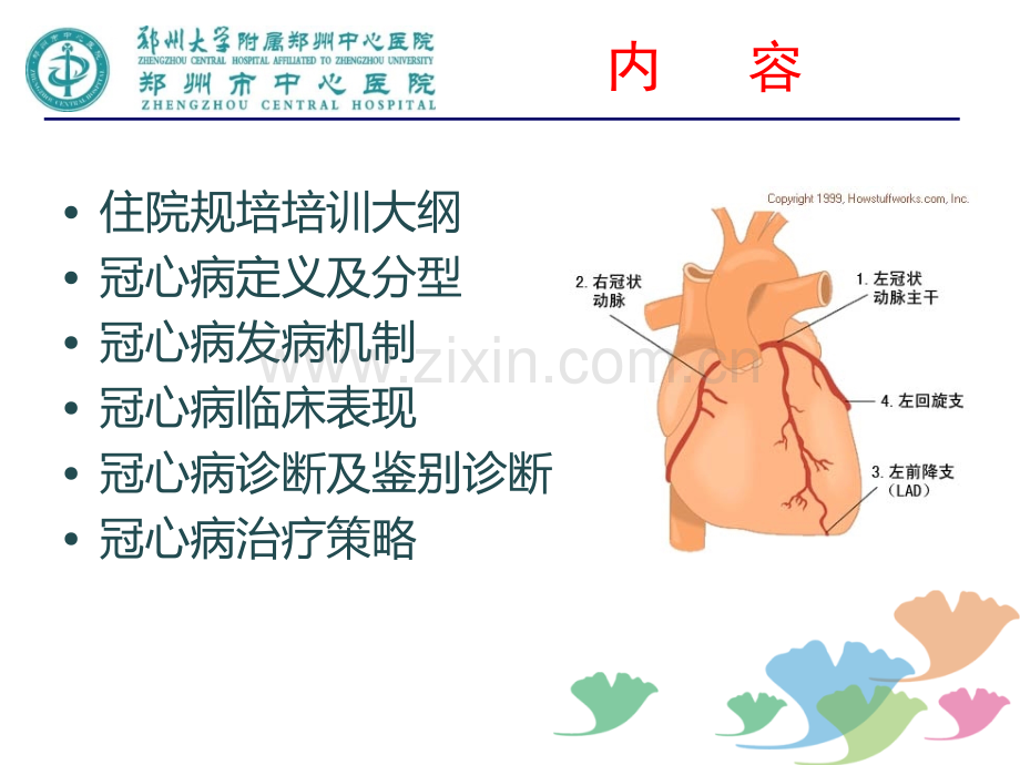 冠心病诊断和治疗ppt课件.pptx_第2页