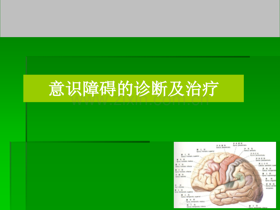 意识障碍诊断及治疗.ppt_第1页