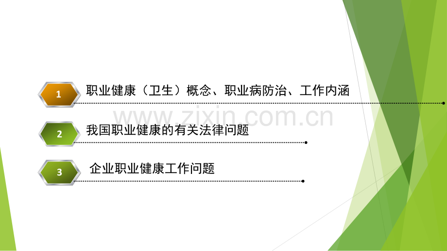 职业健康管理简介.ppt_第2页