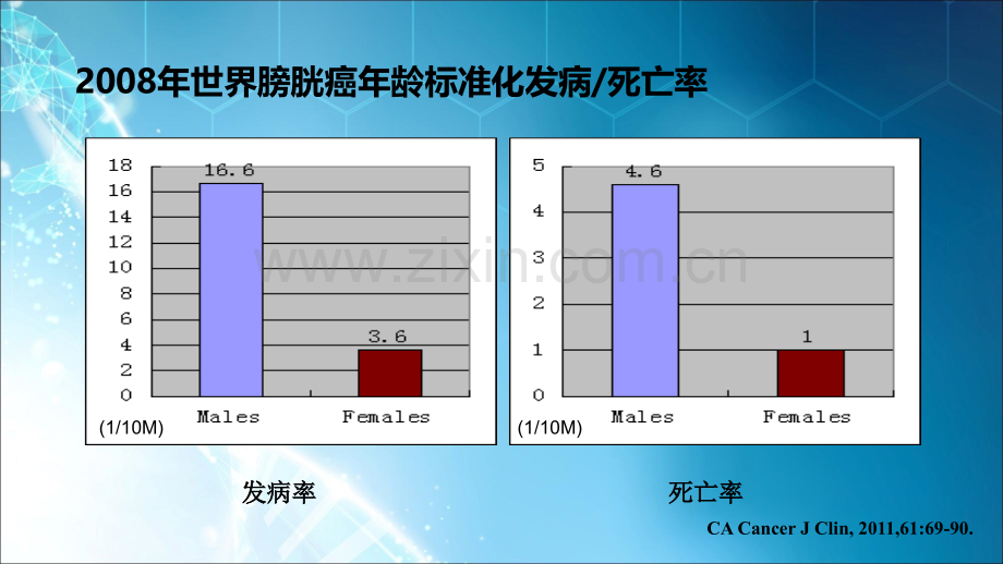 膀胱癌诊疗指南(非肌层浸润性)ppt课件.ppt_第2页