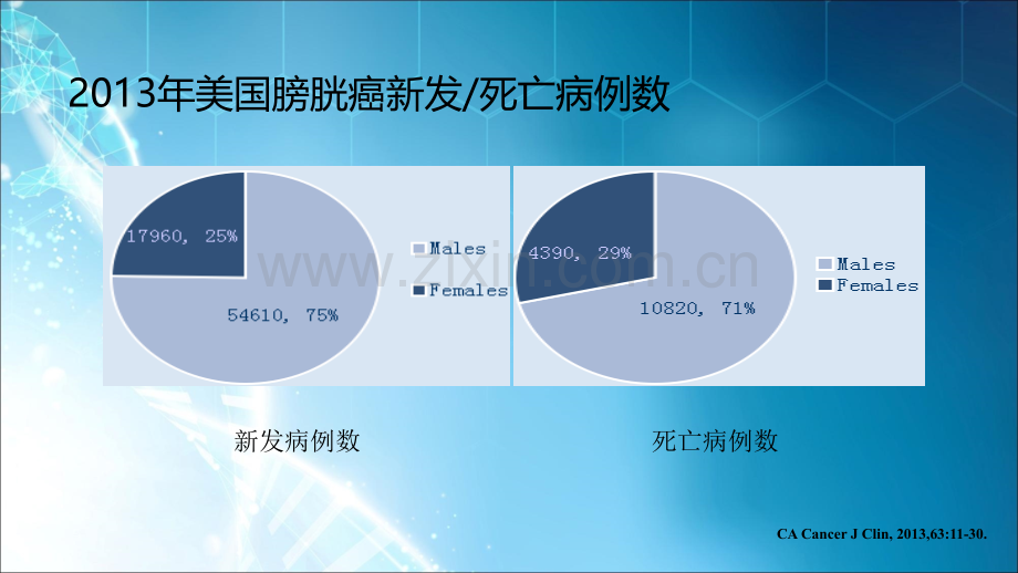 膀胱癌诊疗指南(非肌层浸润性)ppt课件.ppt_第3页