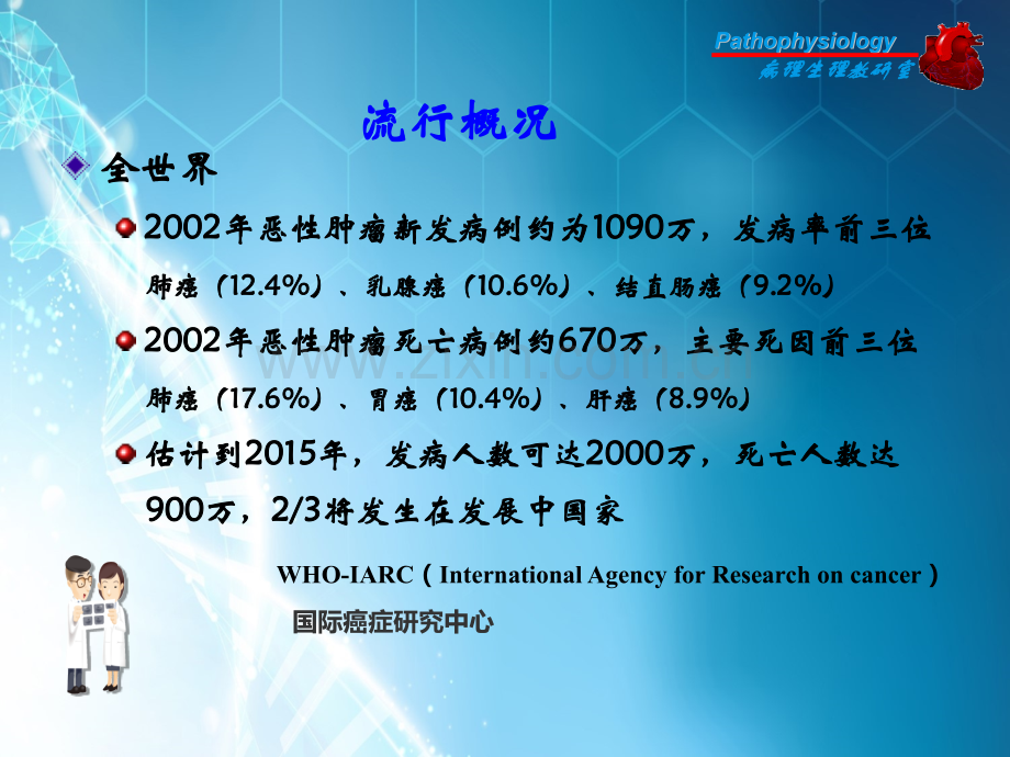 恶性肿瘤总结ppt课件.ppt_第3页