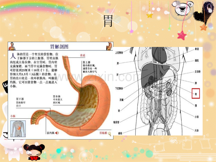 BL案例胃癌ppt课件.ppt_第3页