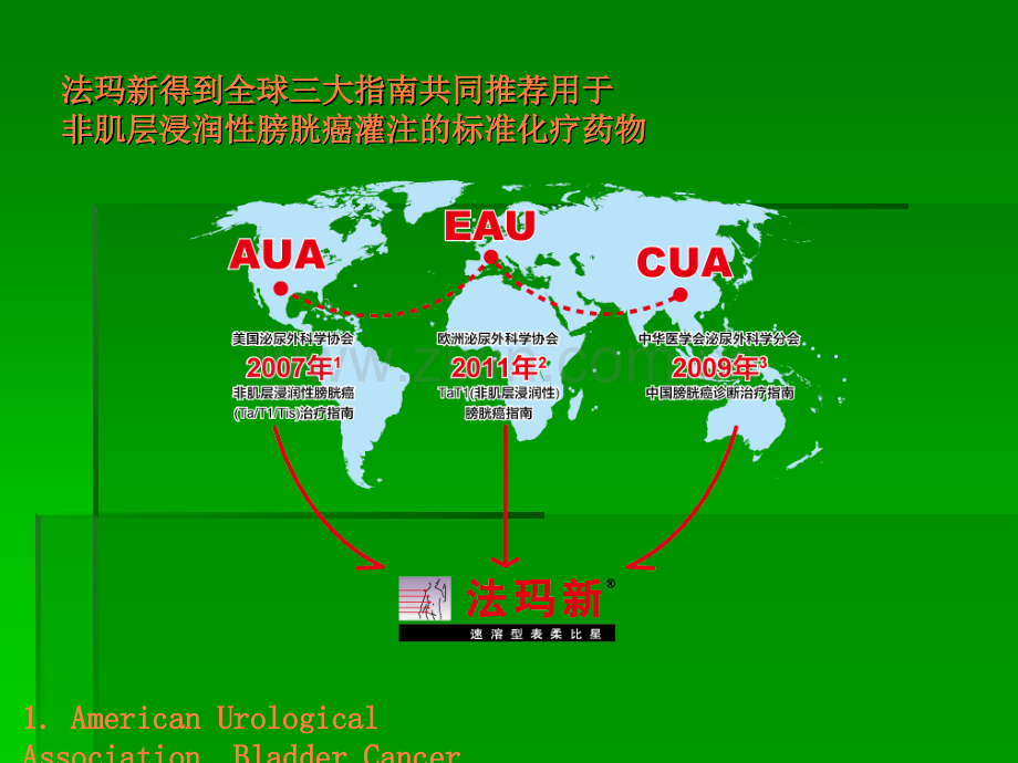 法玛新膀胱癌ppt课件.ppt_第2页