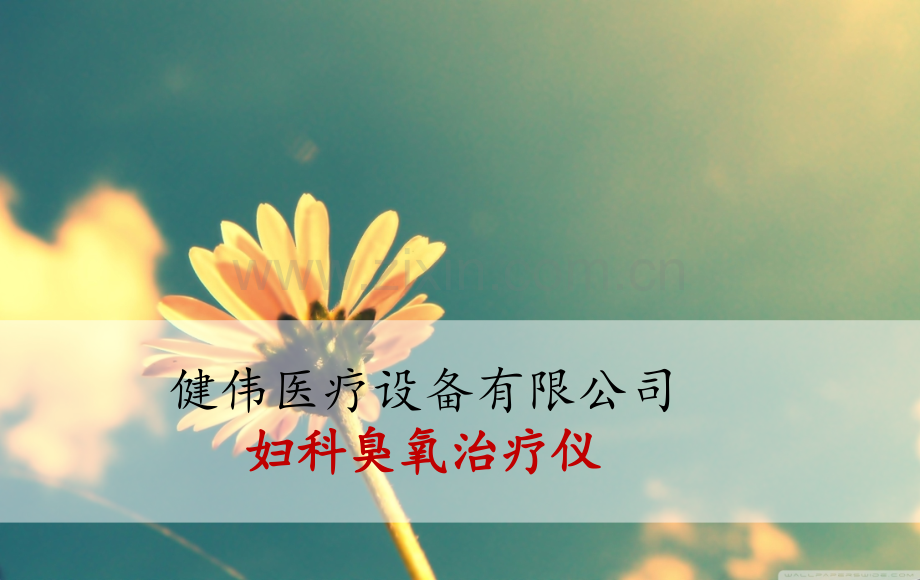 妇科臭氧治疗仪PPT课件.ppt_第1页