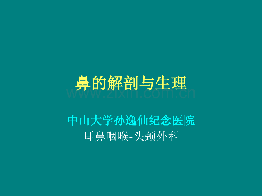 鼻的解剖与生理ppt课件.ppt_第1页