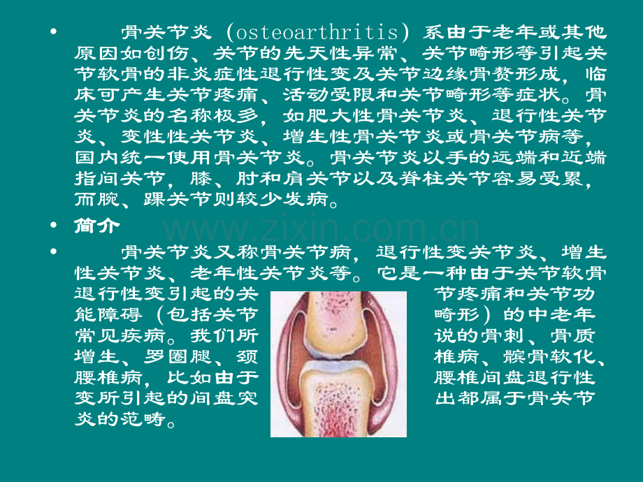 病理骨关节炎的体征ppt课件.ppt_第3页