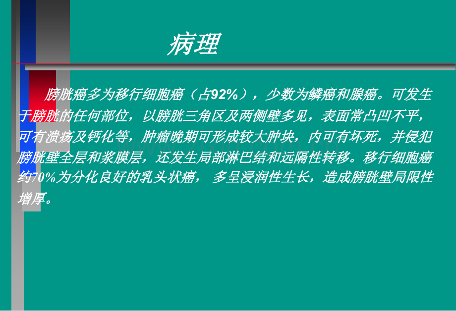 膀胱癌影像表现.ppt_第3页