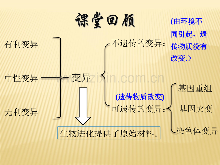 遗传病和优生.pptx_第1页