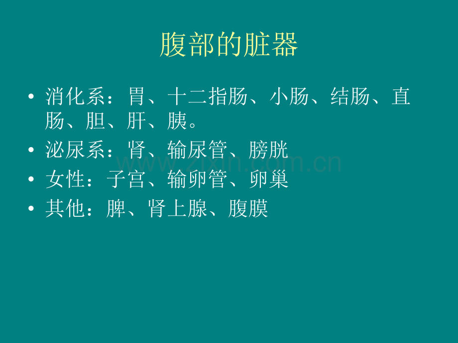 腹痛的临床诊断思维ppt课件.ppt_第3页