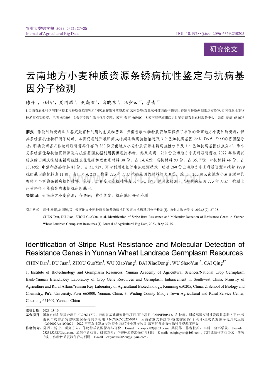 云南地方小麦种质资源条锈病抗性鉴定与抗病基因分子检测.pdf_第1页