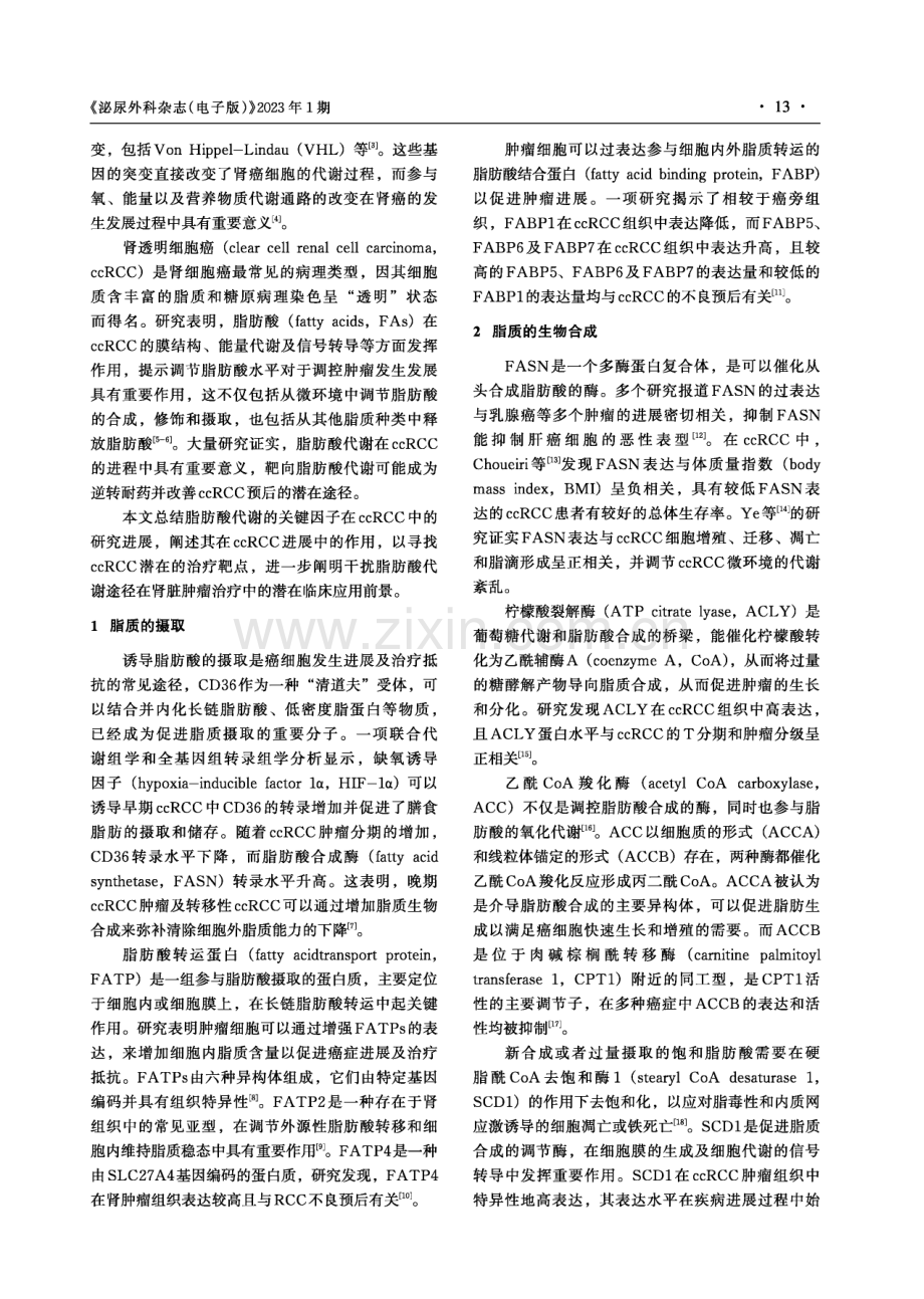 脂代谢途径与肾脏肿瘤治疗.pdf_第2页