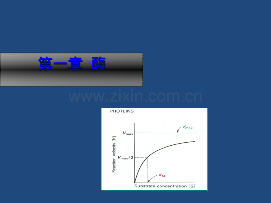 动物生物化学课件ppt课件.ppt_第1页