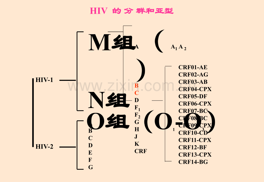 艾滋病及HIV的检测培训.ppt_第3页